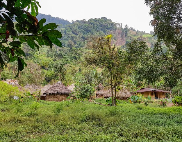 dorp in de Sierra Nevada de Santa Marta