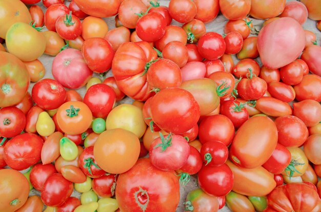 Dorp markt kleurrijke tomaten. Groep mengtomaten