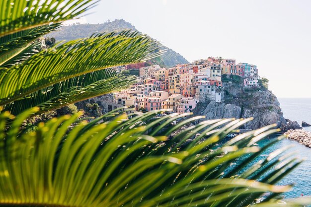 Foto dorp op rotsen, kliffen en zeepalmbladeren op de voorgrond nationaal park van italië