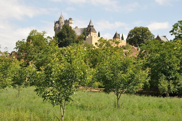 Foto dorp van montfort in de perigord