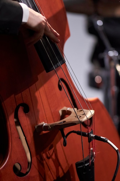 Double bass closeup double bass details musician plays double\
bass on stage closeup