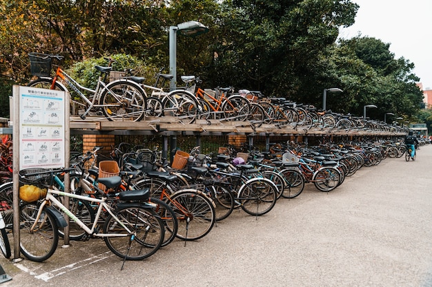 国立台湾大学前の歩道に沿って2階建ての自転車ラックがあり、人々が歩いています。