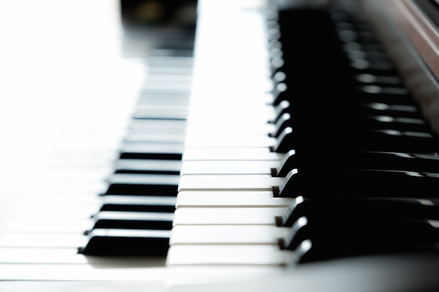 사진 더블 레이어 전자 피아노 키보드