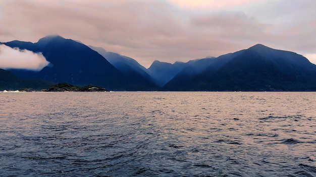 Doubtful Sound. At the end of the Sound where it meets the open Taman sea