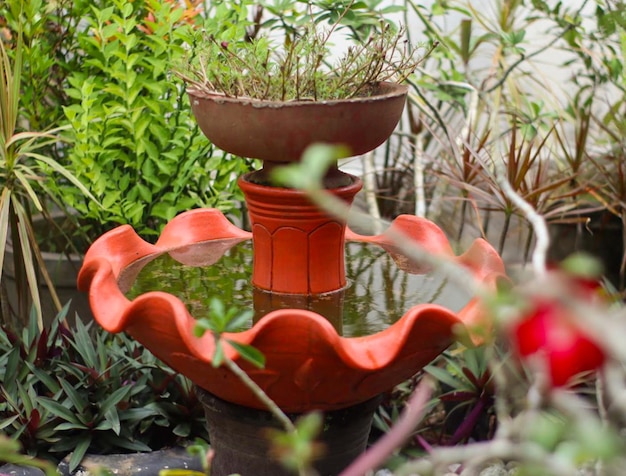 Douche midden in de tuin