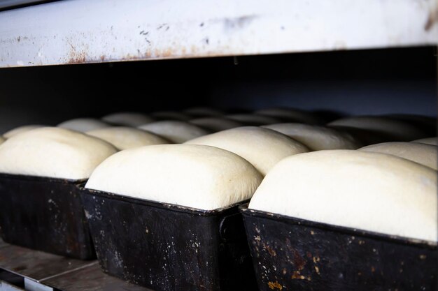 L'impasto messo per il pane è adatto e pronto per la cottura