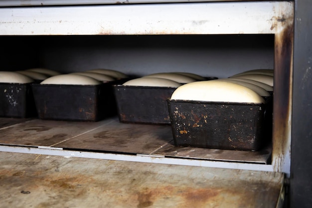 Foto l'impasto messo per il pane è adatto e pronto per la cottura
