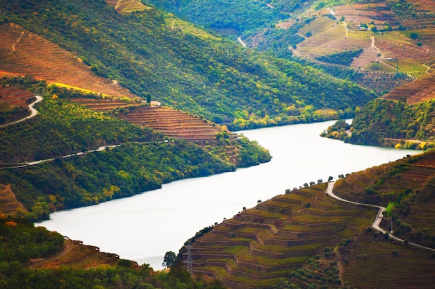 Douro river valley with vineyards in Portugal. Portuguese wine region. Beautiful autumn landscape