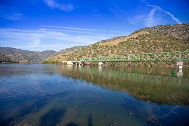 Douro River And Vineyards in Portugal