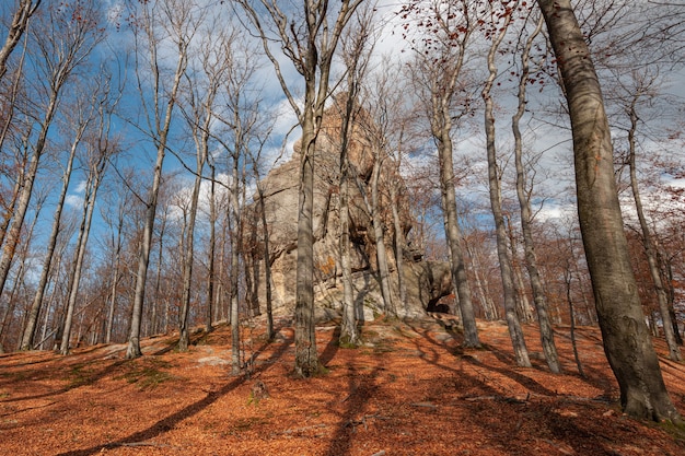 Dovbush scogliere ricoperte da una foresta di faggi in autunno un luogo ben noto in ucraina