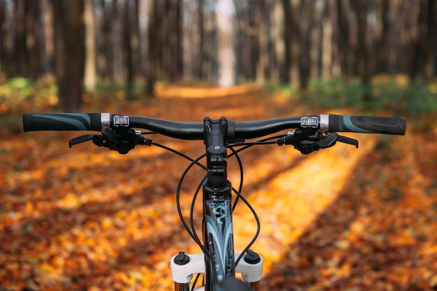 Photo downhill mountain biking fast downhill bike ride view from the eyes of bikers