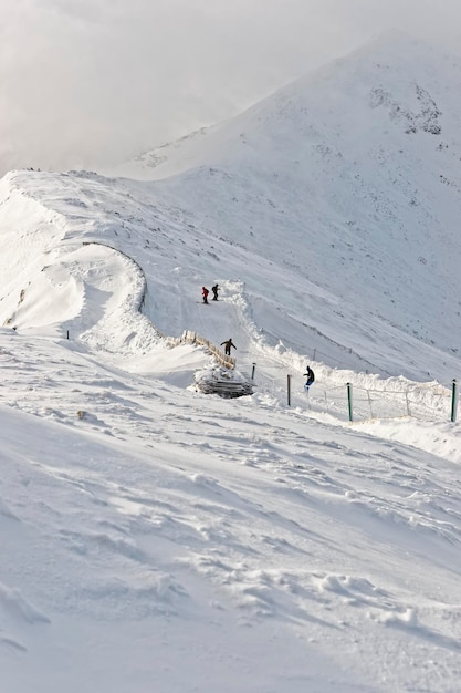 Downhill skiërs en snowboarder op Kasprowy Wierch in Zakopane in de winter. Zakopane is een stad in het Tatra-gebergte. Kasprowy Wierch is een berg in Zakopane en het meest populaire skigebied in Polen