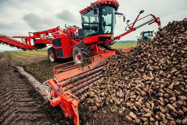 Downloads harvest on the field.