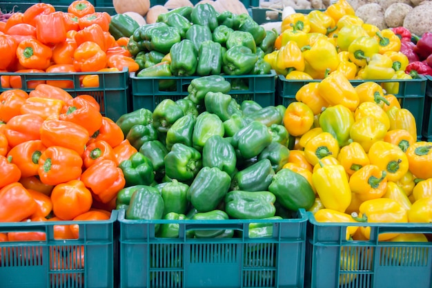 Dozen met kleurrijke pepers