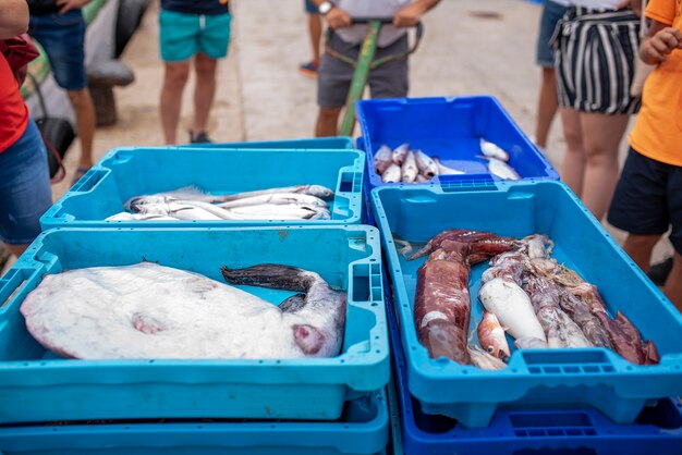 dozen met vis te koop op de markt