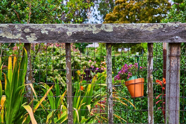 Draad hek met vervaagende houten balken en kleurrijke tuin met bloempot aan de andere kant