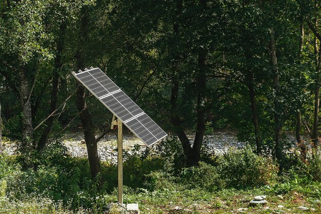 Draagbaar usb-zonnepaneel voor het opladen van de batterij in groen bos