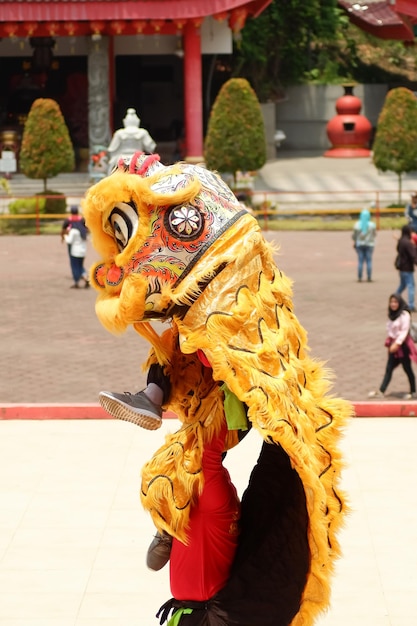 Draak en leeuwendans tonen barongsai in Chinees nieuwjaarsfestival in Sampookong Temple Indonesia