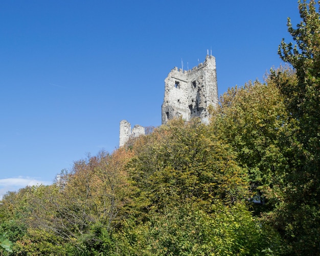 Photo drachenfels in bonn germany