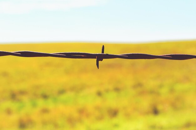 Foto draddraad op het grasveld tegen de lucht.