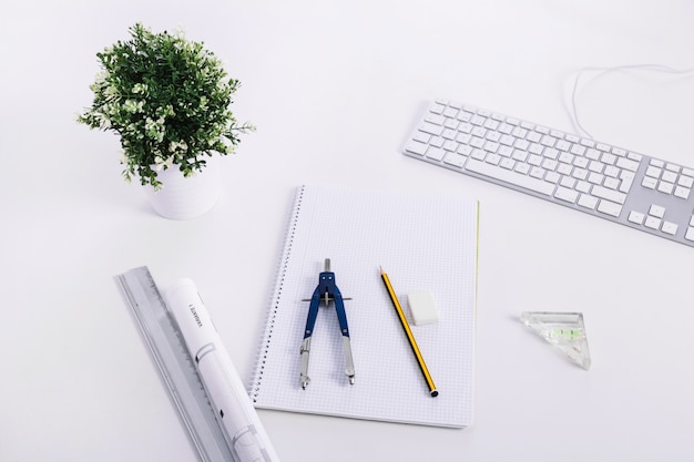 Drafting supplies near potted plant and keyboard