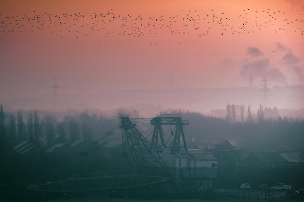 Фото Драглайн и гуси