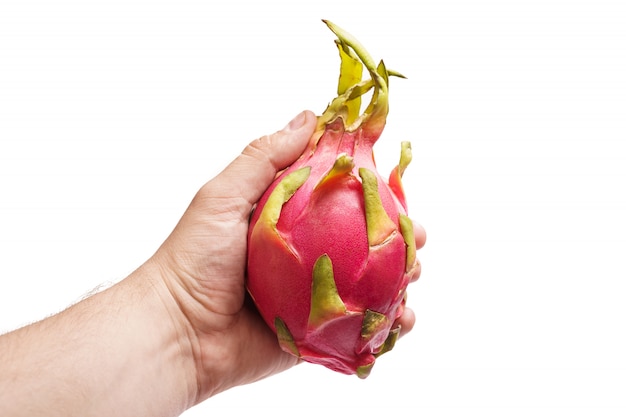 Dragon fruit in hand isolated on white background