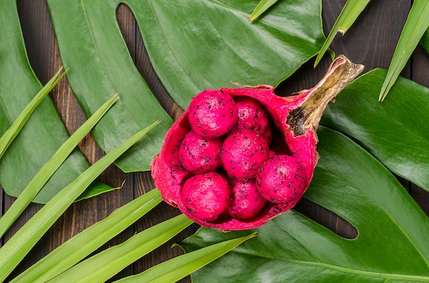 Dragon fruit on the leaves of palm and monster