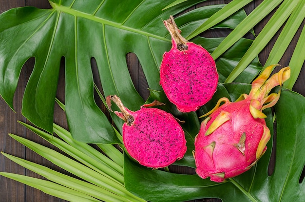 Dragon fruit on the leaves of palm and monster. 