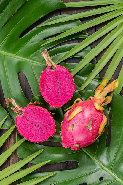 Dragon fruit on the leaves of palm and monster. 