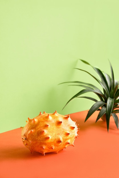 Dragon fruit pitahaya closeup on two color paper background Vibrant orange and mint green colors