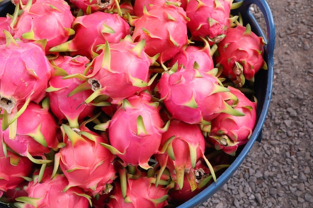 dragon fruit at street road