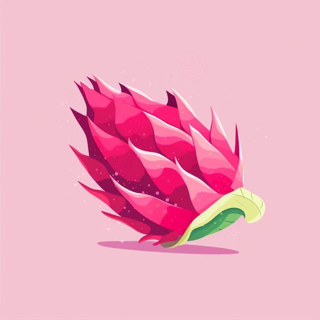 dragon fruit vector simple flat color