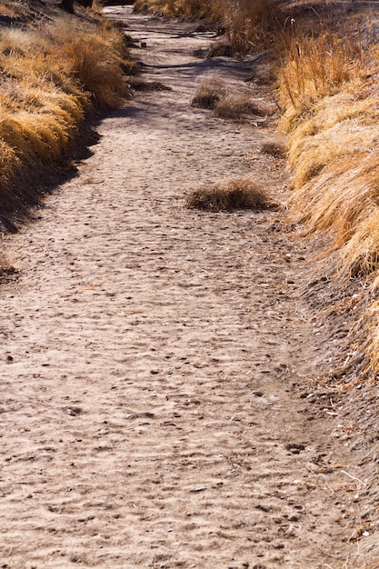 Drainage ditch without water.