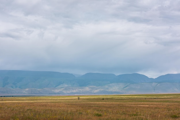 Dramatic alpine view to sunlit steppe and somber large mountains in low clouds during rain gloomy mountain landscape with bleak mountain range in rain and steppe in sunlight in changeable weather