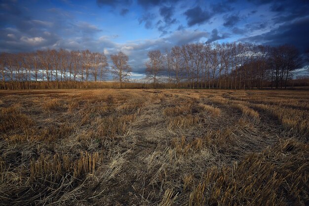 dramatic autumn landscape field sky abstract concept sadness