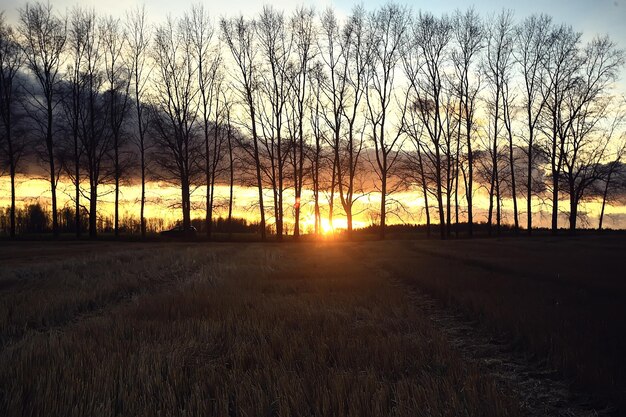 dramatic autumn landscape field sky abstract concept sadness