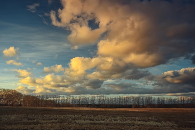 dramatic autumn landscape field sky abstract concept sadness