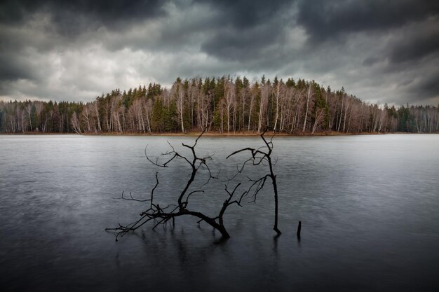 Dramatic autumn landscape