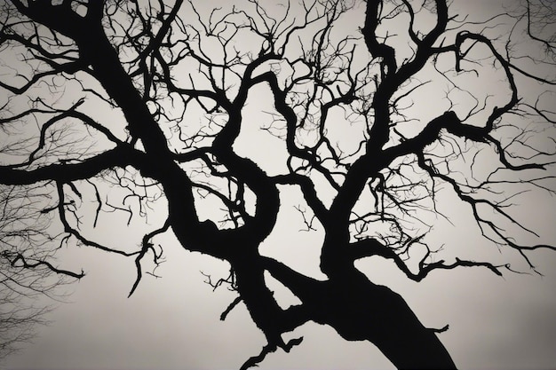 A dramatic black and white tree landscape