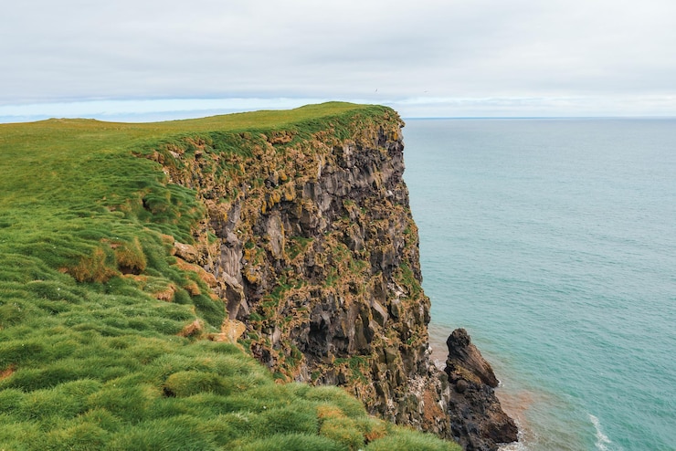 Photo アイスランド の 静かな 海 を 見下ろす 壮大な 崖っち と 茂る 緑 の 草