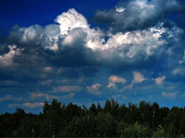 Dramatic cloudscape over the summer forest landscape background