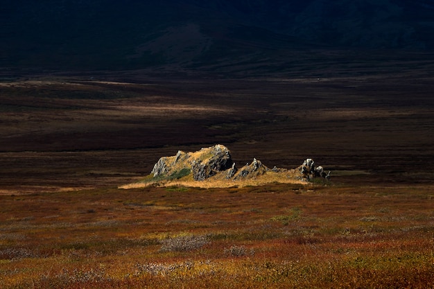 秋の草原の岩の上の劇的な金色の光と影。アルタイ山脈。