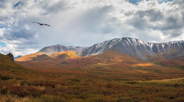 Dramatic golden light and shadow on the rock in autumn steppe H