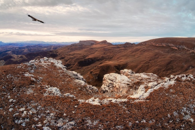 Dramatic landscape with flight lonely eagle view of a chilly autumn valley blurred in a morning haze and steep red stone cliffs from the Bermamyt plateau in KarachayCherkessia on a cloudy day