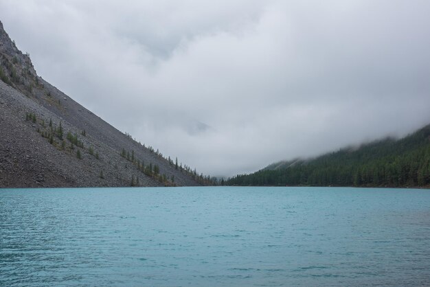 Dramatic meditate landscape with ripples on big azure mountain lake against pointy firs silhouettes in low clouds Tranquil view to cyan alpine lake and peaked tops of spruces in low cloudy gray sky