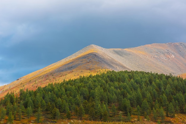 写真 晴れた高山頂と 陽の光で生々しい斜面の 針葉の森と 雨の雲の下の 空の風景 変化する天候の山の上で 秋の色彩が消える