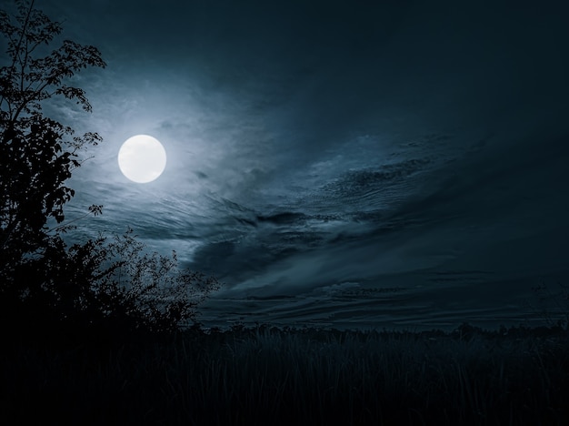 Photo dramatic night with tree and moonlight