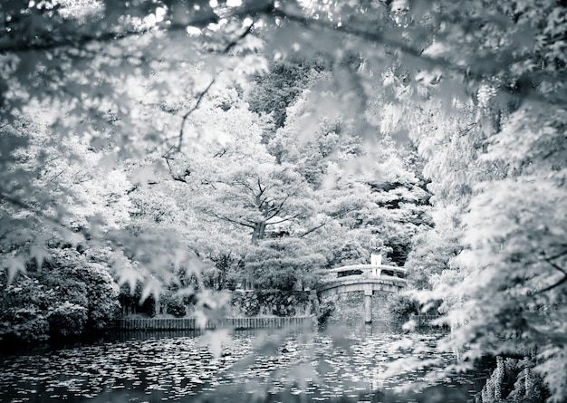 京都の公園で劇的なシーン。日本