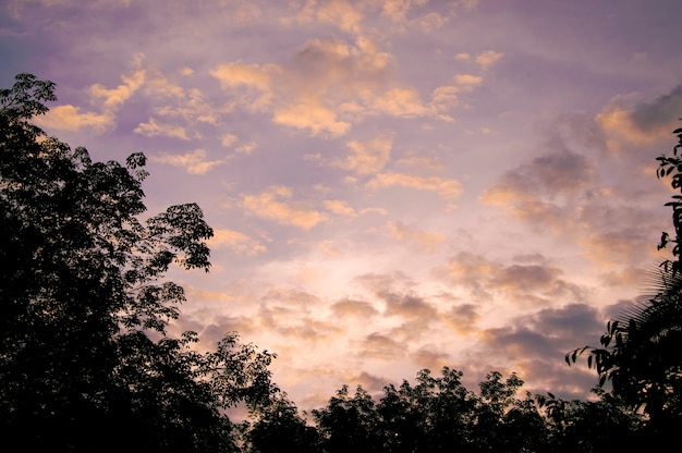 Dramatic sky in sunset time